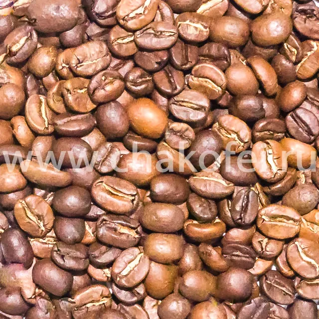 Санта Доминго